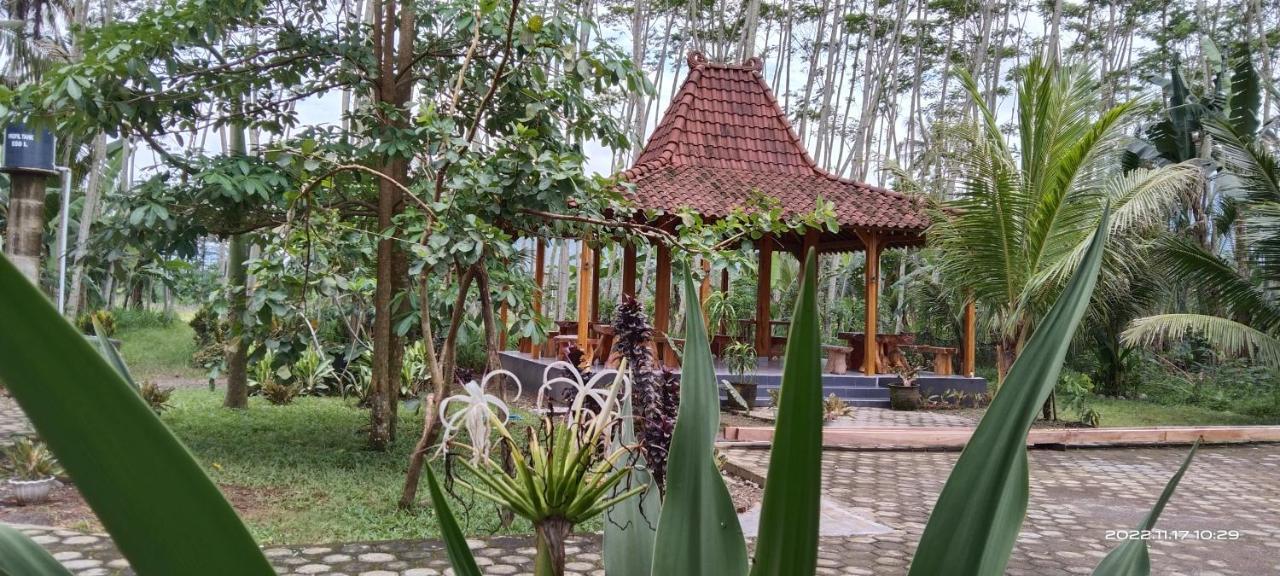 Adventure Turtle Homestay Meru Betiri Sarungan Exteriör bild