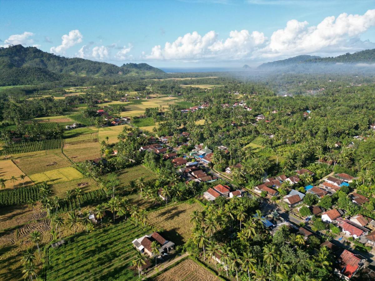 Adventure Turtle Homestay Meru Betiri Sarungan Exteriör bild