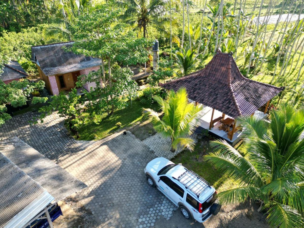 Adventure Turtle Homestay Meru Betiri Sarungan Exteriör bild