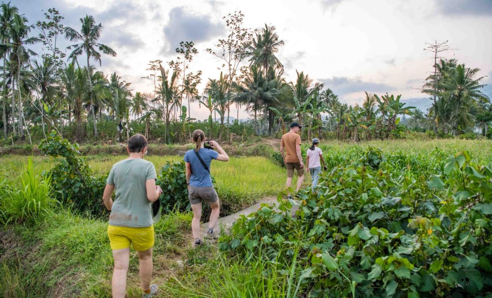 Adventure Turtle Homestay Meru Betiri Sarungan Exteriör bild