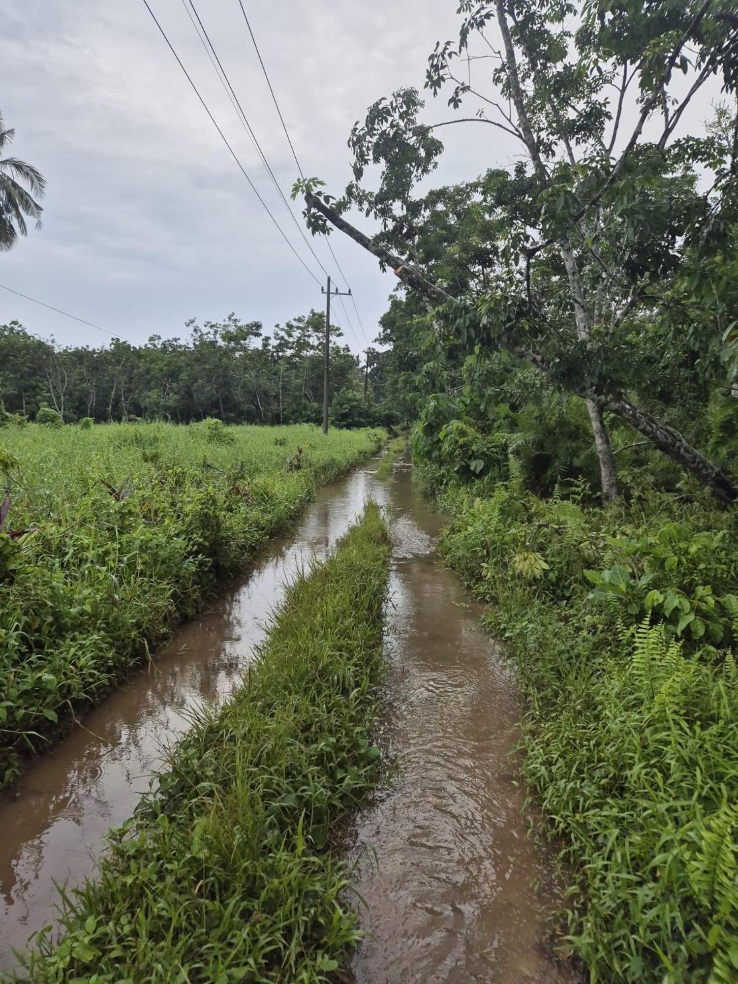 Adventure Turtle Homestay Meru Betiri Sarungan Exteriör bild