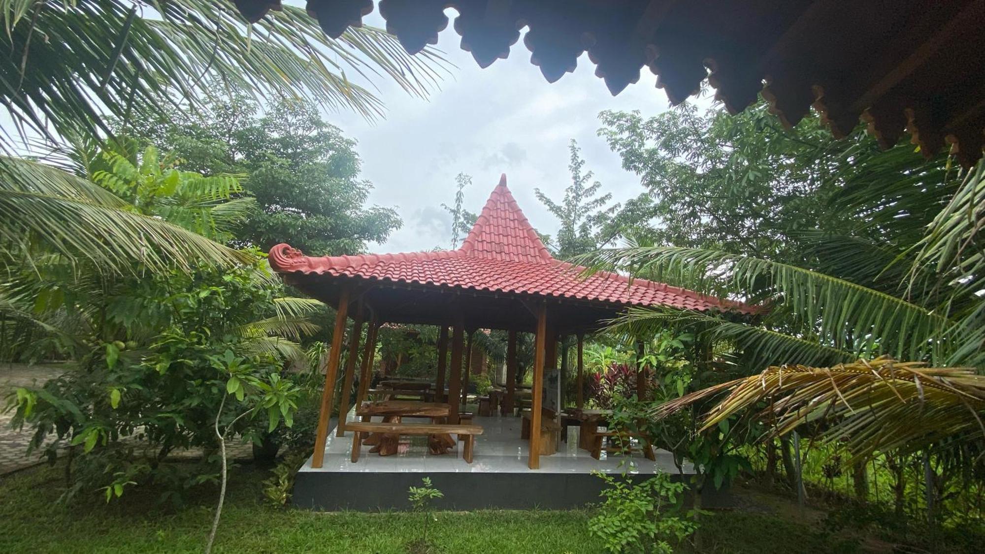 Adventure Turtle Homestay Meru Betiri Sarungan Exteriör bild